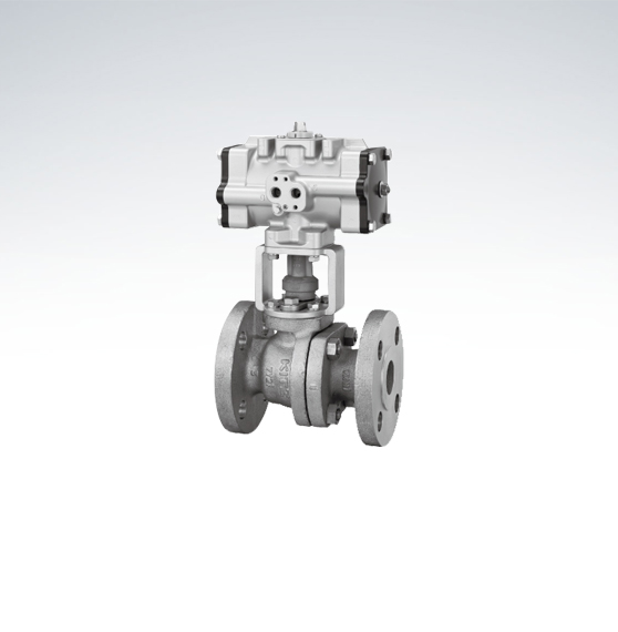 Valve Actuator Gears